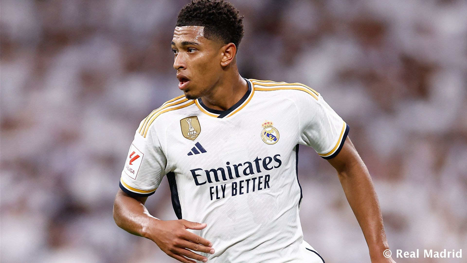 “艺术家”爱艺术，队报：谢尔基是资深艺术爱好者（队报：被称为“艺术家”的谢尔基对艺术痴迷，堪称资深爱好者）